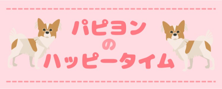 カワイイがいっぱい！ワンダーランド